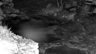 Still 1 from this detection