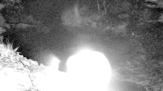 Still 1 from this detection