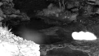 Still 1 from this detection