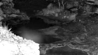 Still 1 from this detection