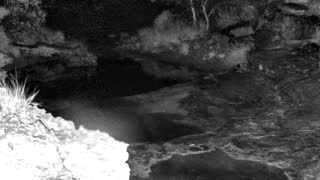 Still 1 from this detection
