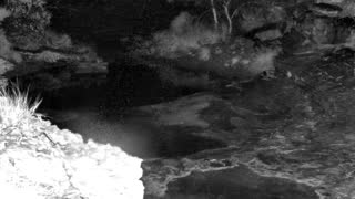 Still 1 from this detection
