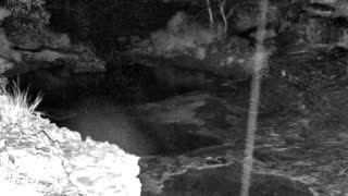 Still 1 from this detection