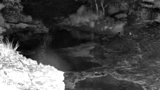 Still 1 from this detection
