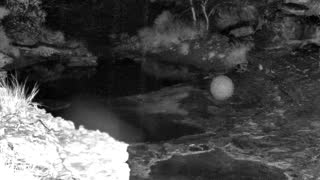 Still 1 from this detection