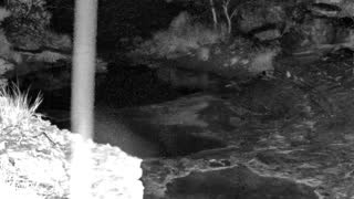 Still 1 from this detection