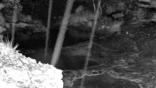 Still 1 from this detection