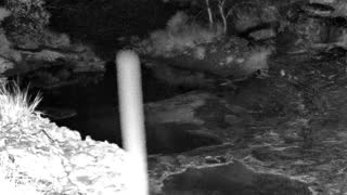 Still 1 from this detection