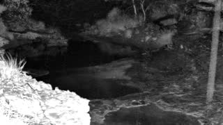 Still 1 from this detection