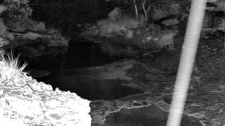 Still 1 from this detection