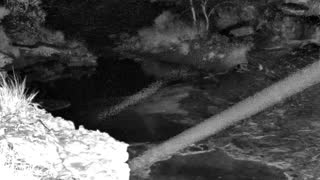 Still 1 from this detection