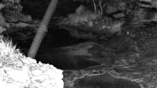 Still 1 from this detection