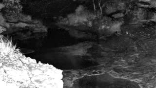 Still 1 from this detection