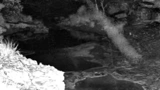 Still 1 from this detection