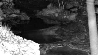 Still 1 from this detection