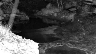 Still 1 from this detection