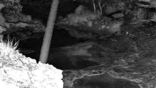 Still 1 from this detection