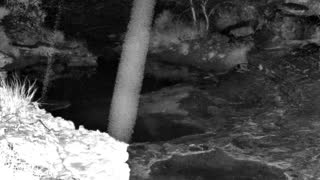 Still 1 from this detection