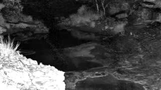 Still 1 from this detection