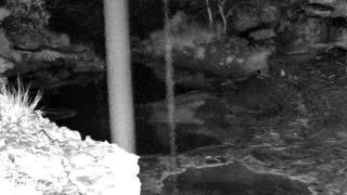 Still 1 from this detection