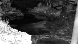 Still 1 from this detection