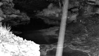 Still 1 from this detection