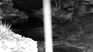 Still 1 from this detection