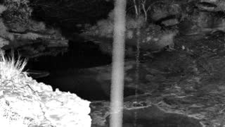 Still 1 from this detection