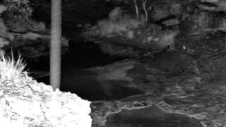 Still 1 from this detection