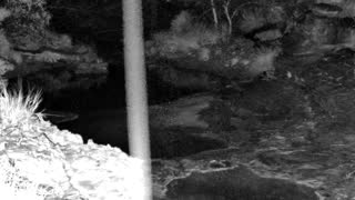 Still 1 from this detection