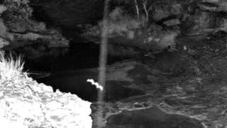 Still 1 from this detection