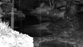 Still 1 from this detection