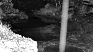 Still 1 from this detection