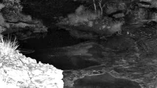 Still 1 from this detection