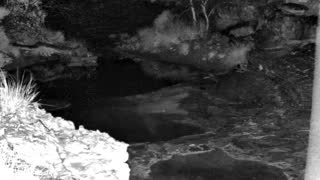 Still 1 from this detection