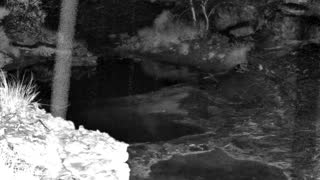 Still 1 from this detection
