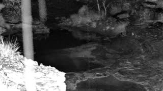 Still 1 from this detection