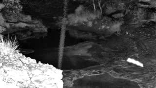 Still 1 from this detection