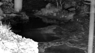 Still 1 from this detection