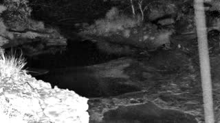 Still 1 from this detection