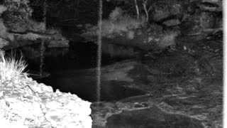 Still 1 from this detection