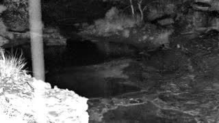 Still 1 from this detection
