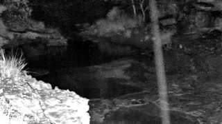 Still 1 from this detection