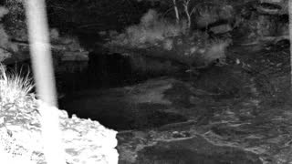 Still 1 from this detection