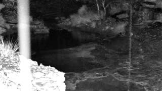 Still 1 from this detection