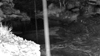 Still 1 from this detection