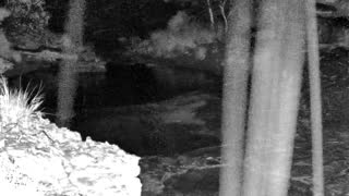Still 1 from this detection