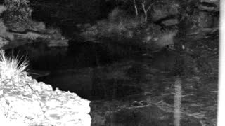 Still 1 from this detection