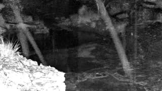 Still 1 from this detection