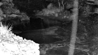 Still 1 from this detection